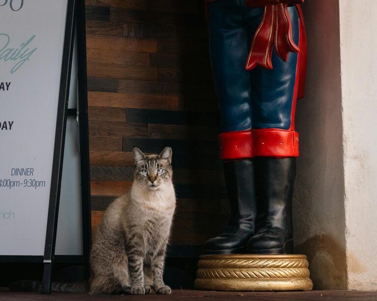 Tips for Choosing Calm Colors to Create a Relaxing Home